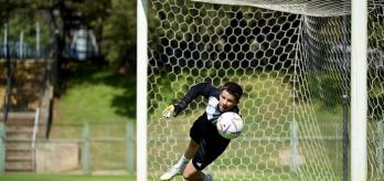 Defending the goal - Diving